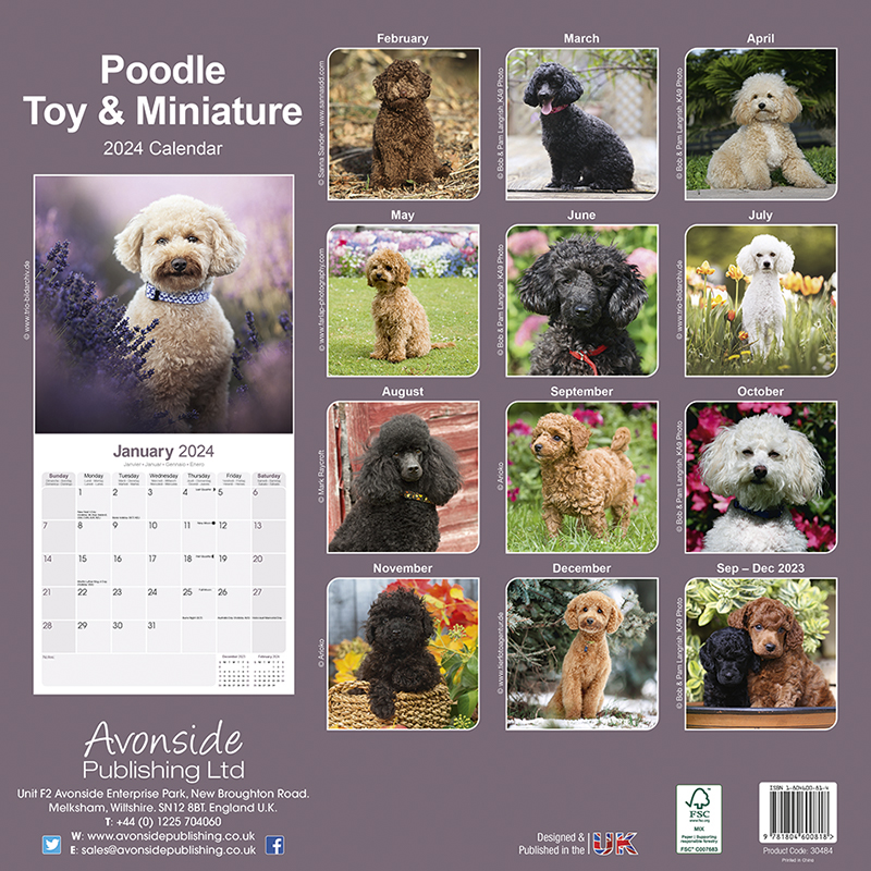Poddle Toy & Miniature Calendar